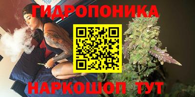 apvp Краснознаменск