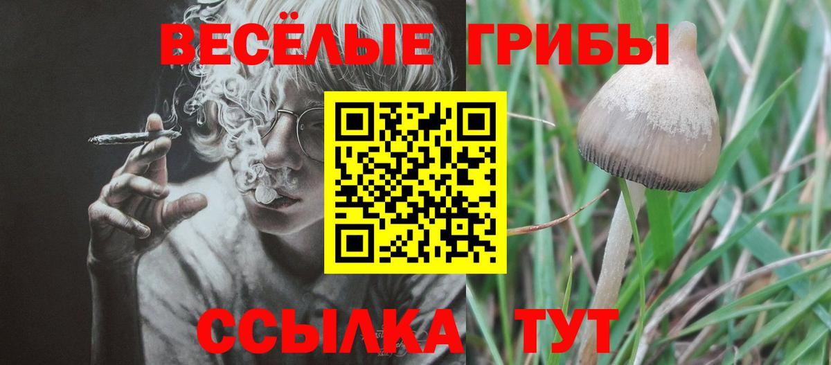 Галлюциногенные грибы мицелий Ступино