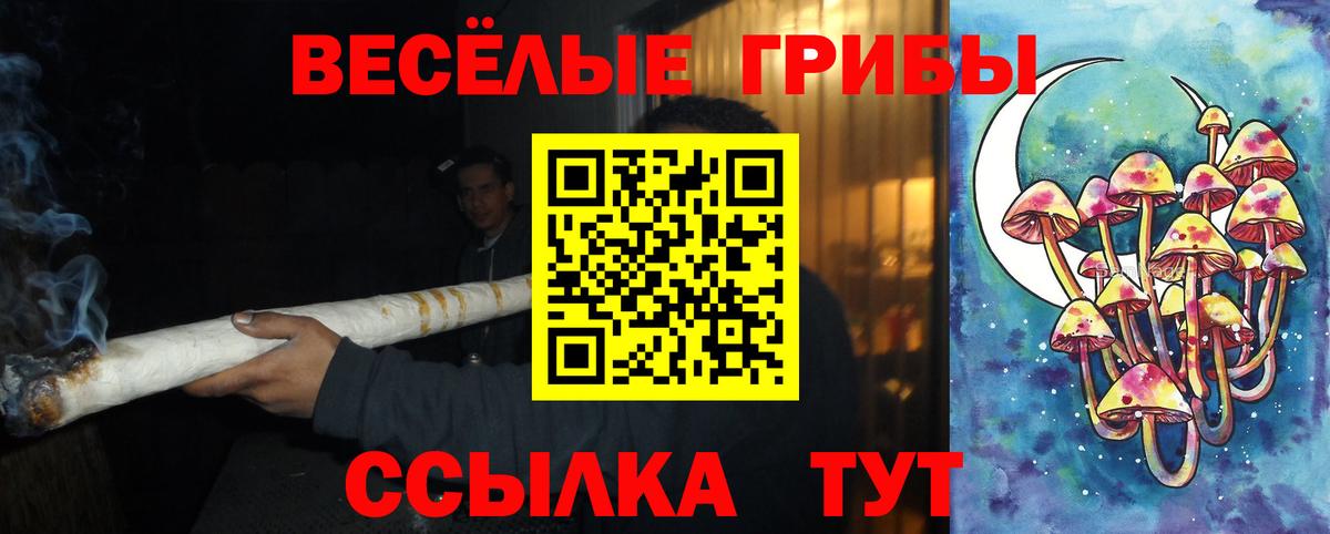 продажа наркотиков  Псилоцибиновые грибы Psilocybine cubensis  Вход с VPN  Ступино  Псилоцибиновые грибы Psilocybine cubensis 